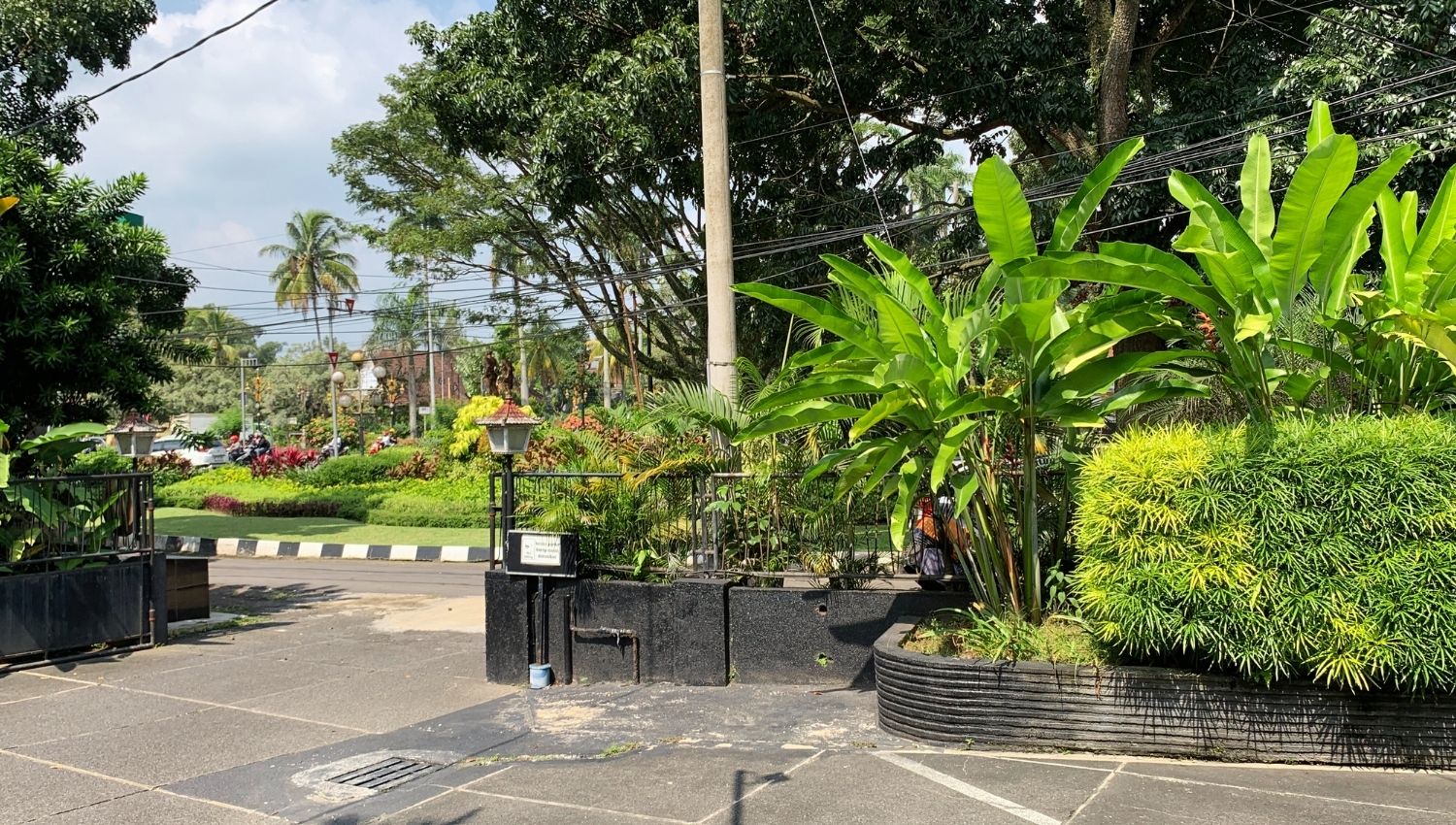 KELAS I BOUGENVILLE (4)